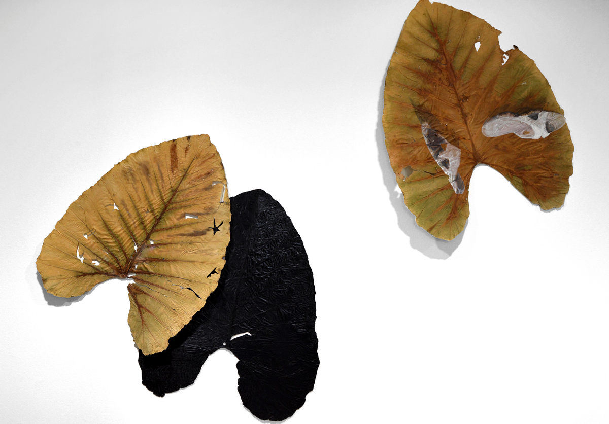 Domingo Chaves, Taro at BELETAGE