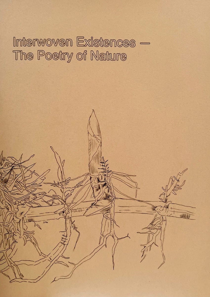 Interwoven Existences Zine