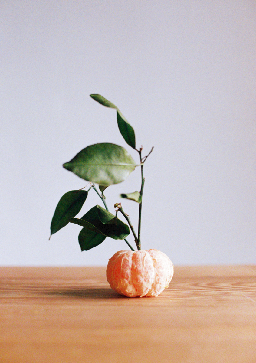 Antonini Portafortuna