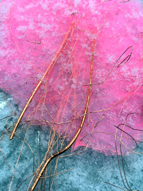 Martina Morger Devices