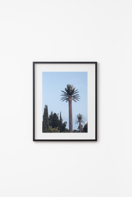 Naomi Tereza Salmon (Photo: Sebastian Stadler)