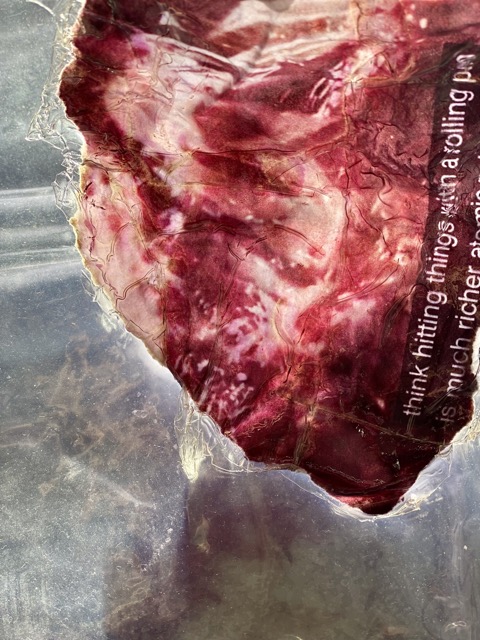 Nigella in Paradise. Photo: Martina Morger