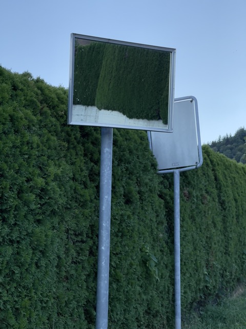 Naomi Tereza Salmon, Lisone, 2022